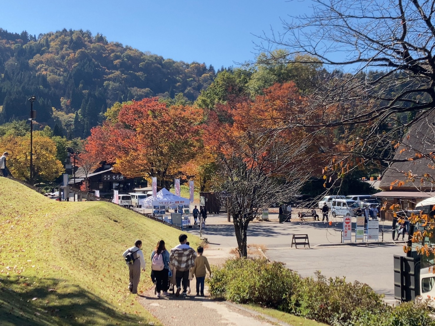 岐阜県白川村 2023年秋 遊覧飛行